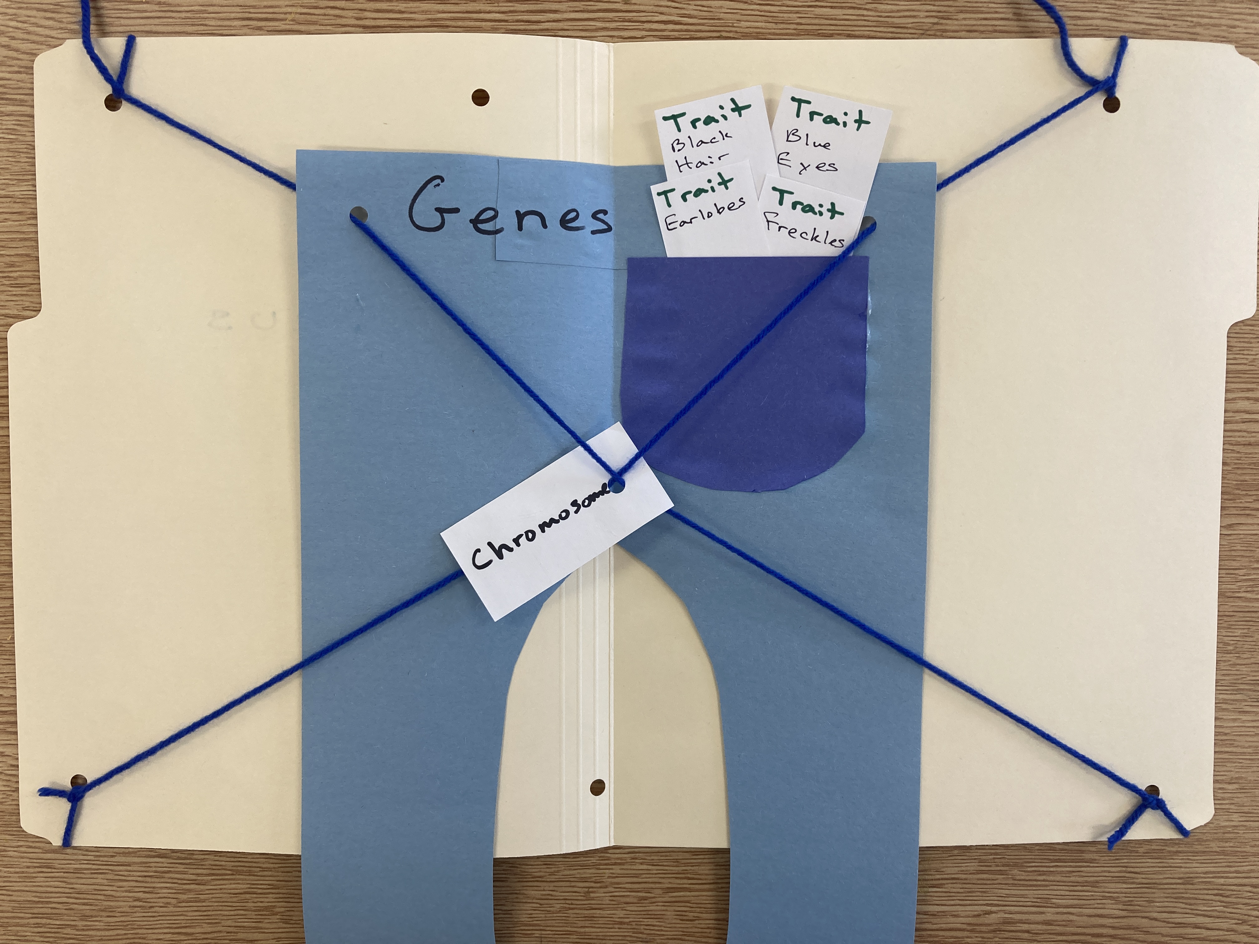 Biology – Teach Grow Sow